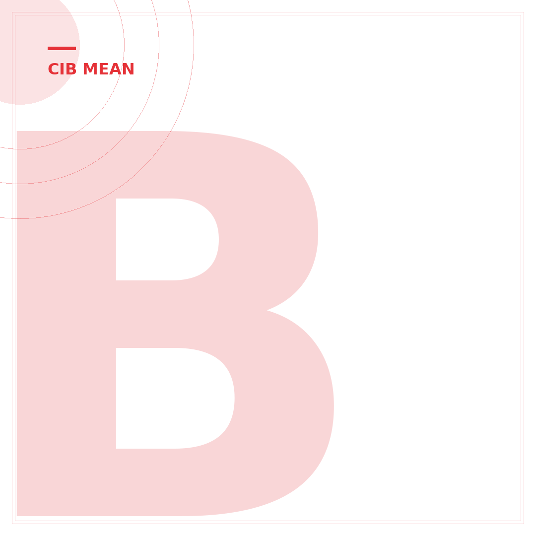 BNWT Meaning on eBay: 5 Condition Codes Explained