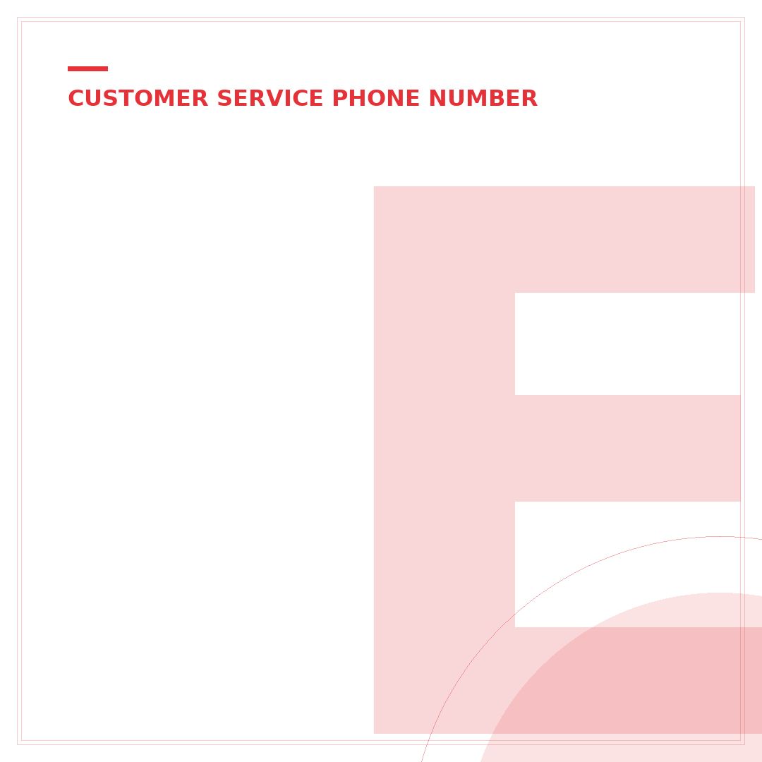 eBay Customer Service Phone Number 24 Hours Free Reddit: Your 2024 Guide