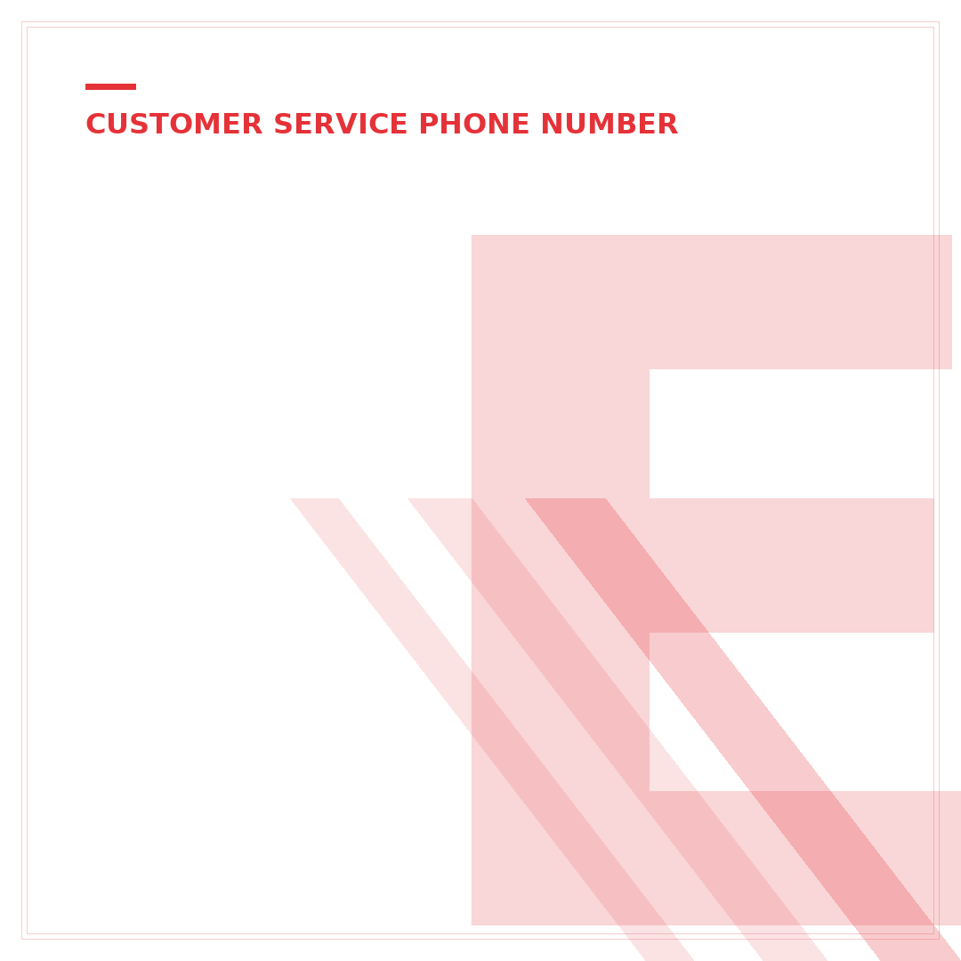 eBay Customer Service Phone Number 24 Hours Spanish USA: 5 Ways