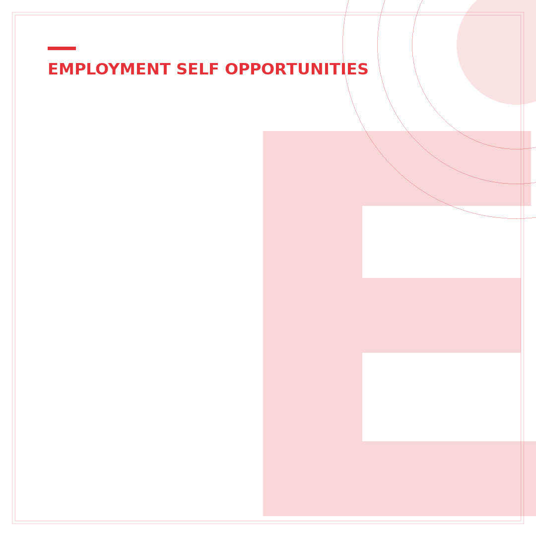 eBay Employment: Your 5-Step Digital Business Primer