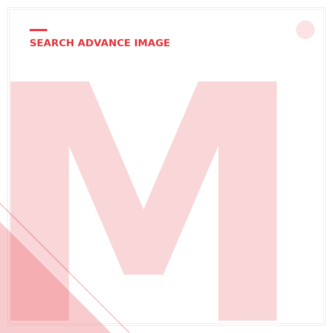 Mastering eBay Search: 8 Expert Strategies for Buyers & Sellers